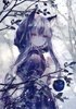 Lilia_Nomad