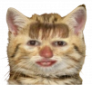 pochatok